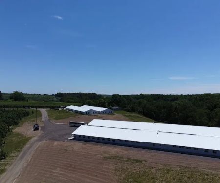 Campo Manzana