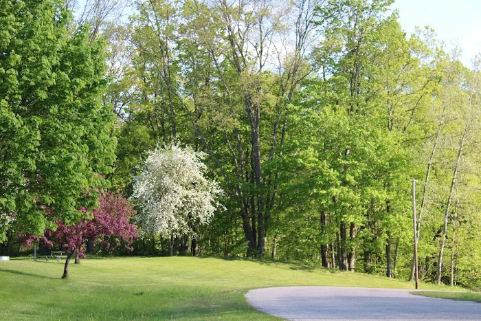 Ed H. Henning County Park Picture 5