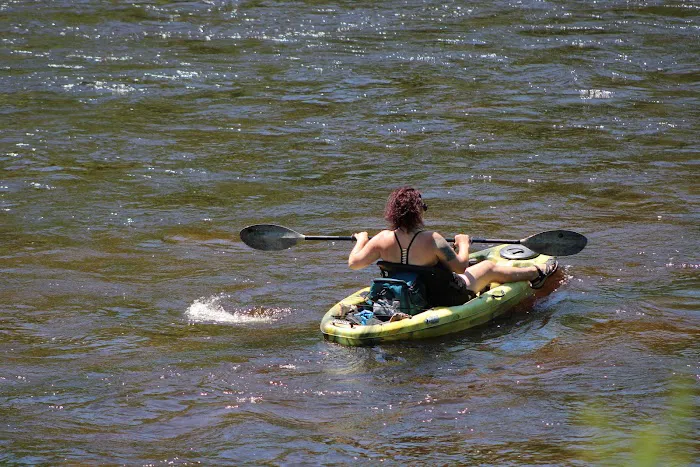 Ed H. Henning County Park Picture 4