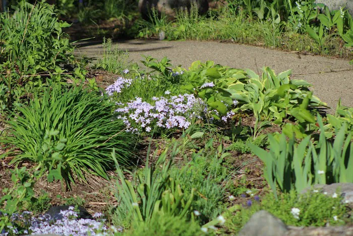 Ed H. Henning County Park Picture 8