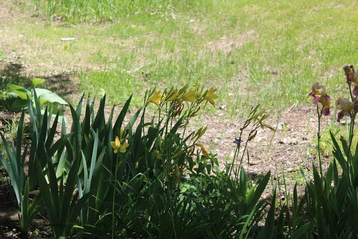Ed H. Henning County Park Picture 10