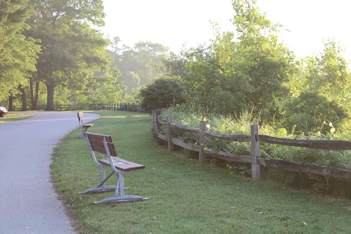 Sandy Beach County Park Picture 9