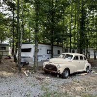 Nubia's shade tree rv park ico