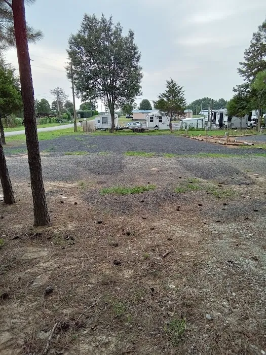 Nubia's shade tree rv park Picture 2