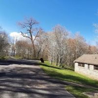 The Hohenwald Hideaway ico