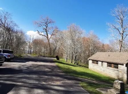 The Hohenwald Hideaway