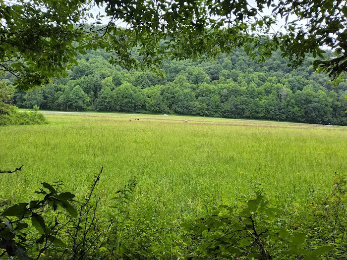 Mile High Campground Tent Site Picture 2