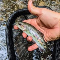 Walnut fork campground ico