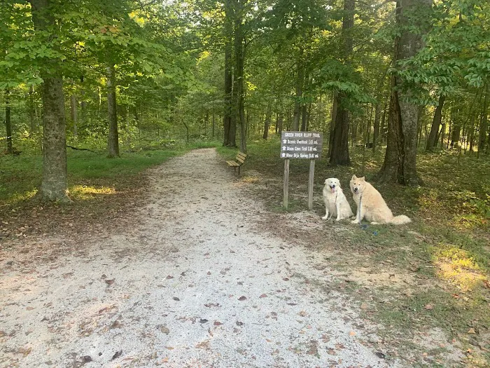 Sugar Maple RV Park Picture 3