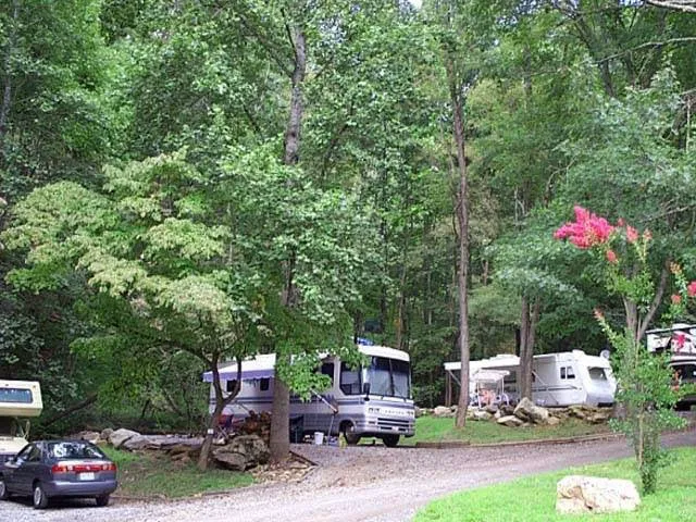 Holly Cove RV Resort Picture 6