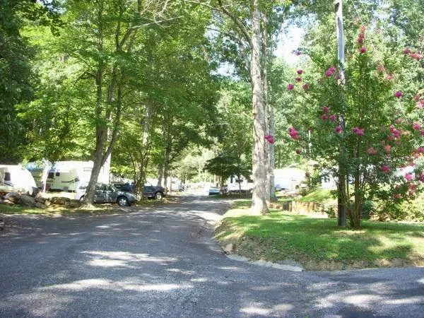 Holly Cove RV Resort Picture 7