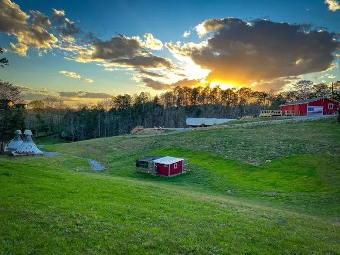 Smoky Hollow Outdoor Resort Picture 5
