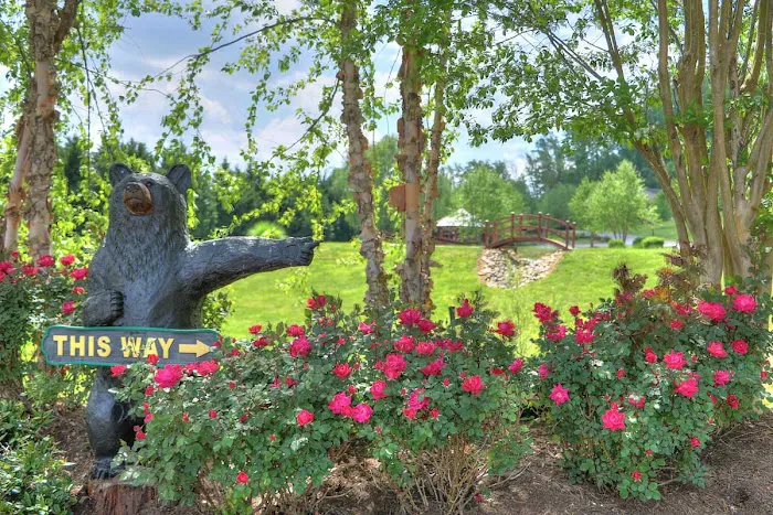 The Dell Motorcoach Resort Picture 2