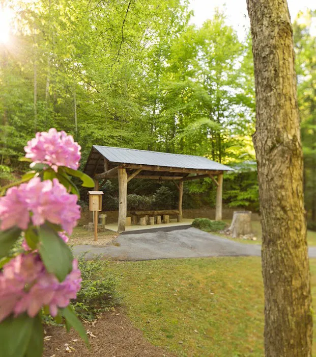 The Dell Motorcoach Resort Picture 8