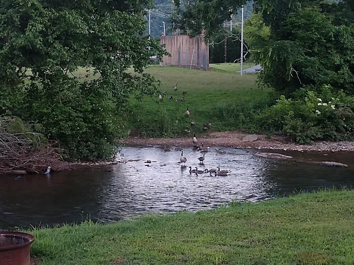 Riverbend Campground Picture 7