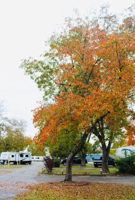 Crossroads Travel RV Park Picture 5