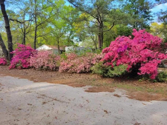 Columbia/Camden RV Park Picture 6