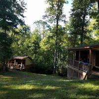 UT Biology Field Station ico