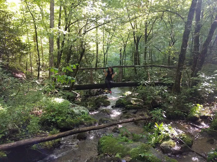 UT Biology Field Station Picture 2