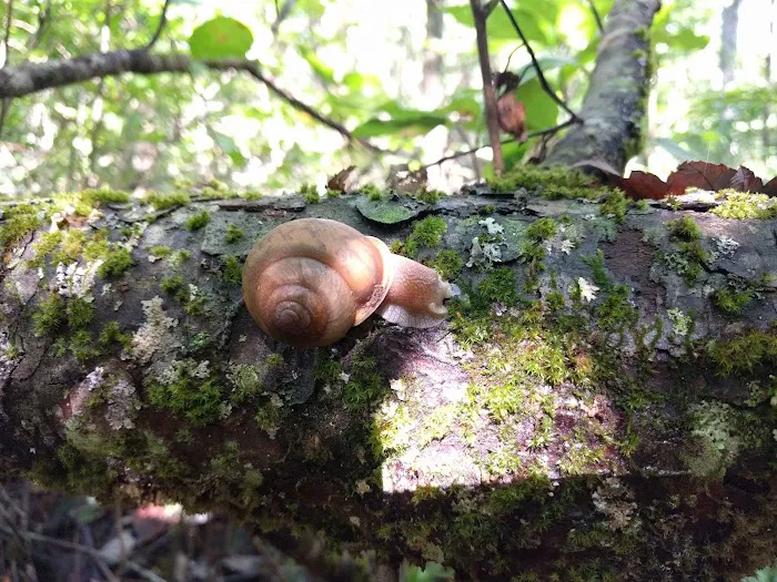 UT Biology Field Station Picture 8