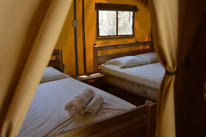 Camp LeConte Luxury Outdoor Resort Picture 7