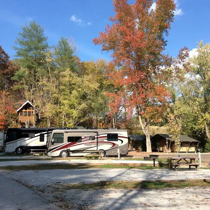 Camp LeConte Luxury Outdoor Resort Picture 6