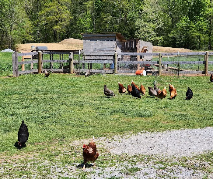 GSS Farm Picture 3