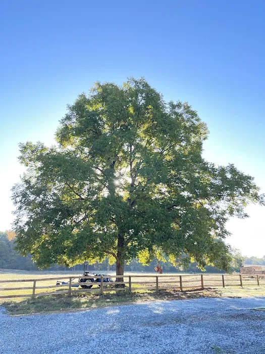 GSS Farm Picture 10