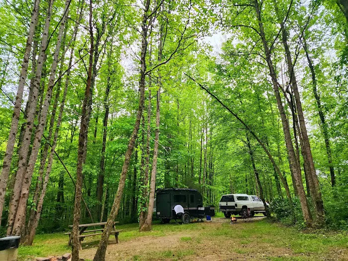 Half Moon Campground Picture 6