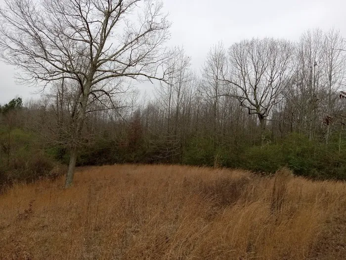 Gypsy Creek RV Park Picture 2