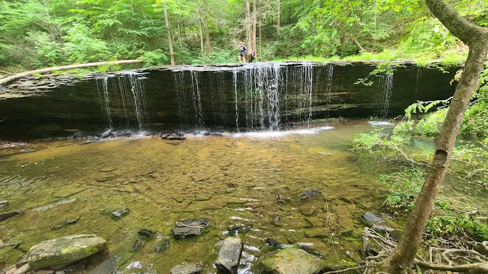 Blue Heron Campground Picture 9
