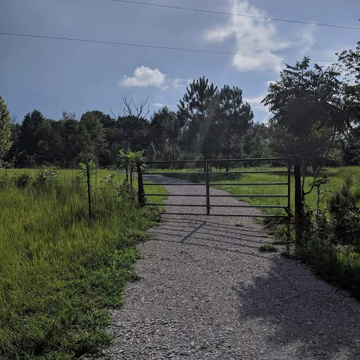 Emma Way RV Park Picture 7