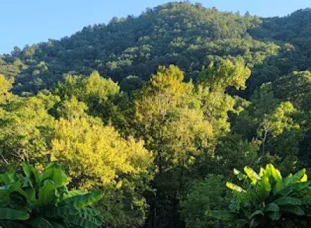 Whispering River RV Resort