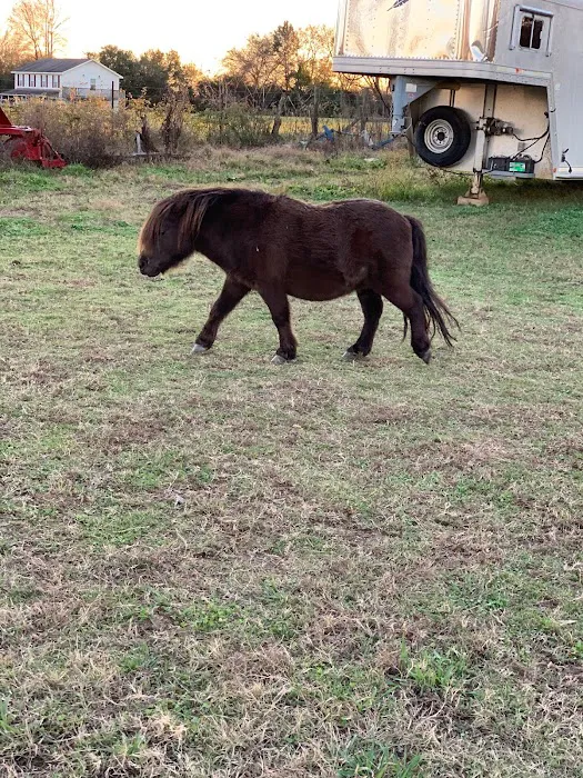 Platos Branch Farm RV Park Picture 1