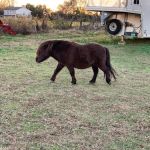 Platos Branch Farm RV Park