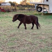 Platos Branch Farm RV Park ico