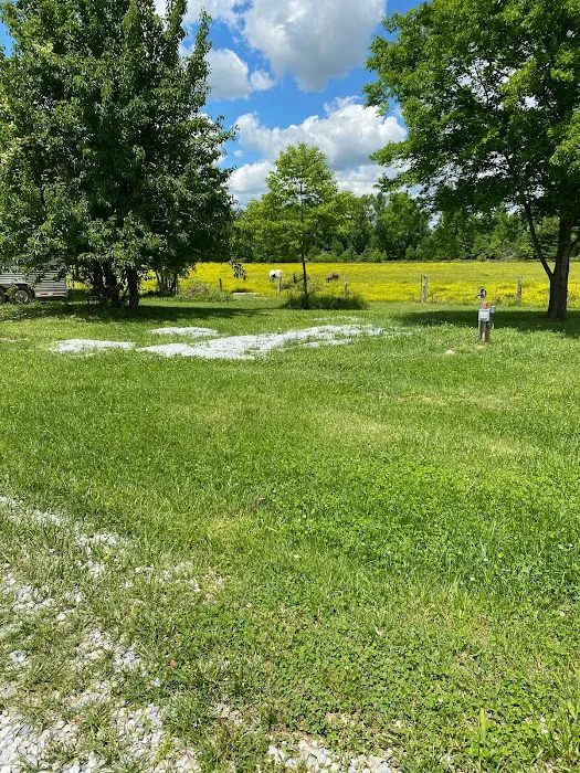 Platos Branch Farm RV Park Picture 6