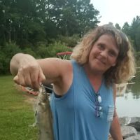 Poland Creek Campground ico
