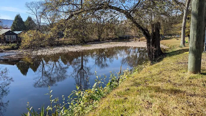Little River Campground Picture 6