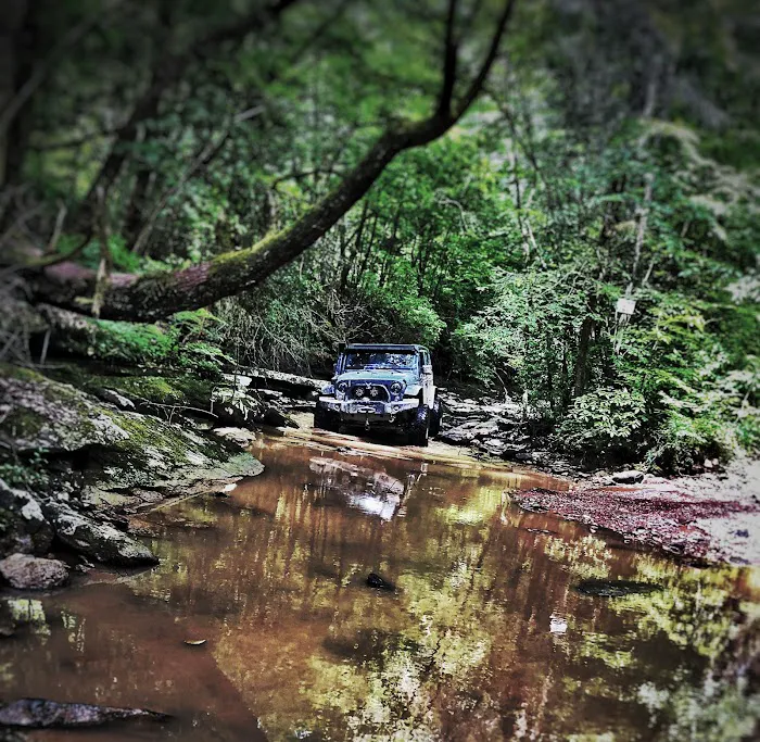 Windrock Park Campground Picture 6