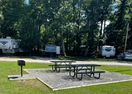 Branching Pines RV Community Picture 4