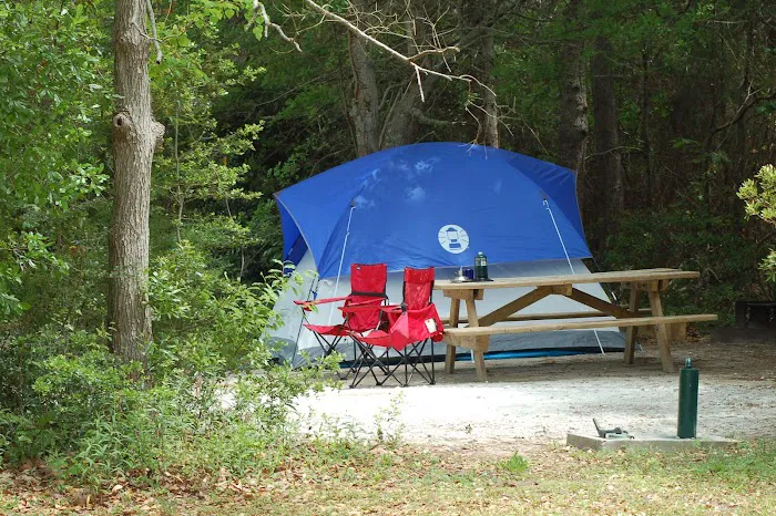 Campground at James Island County Park Picture 5
