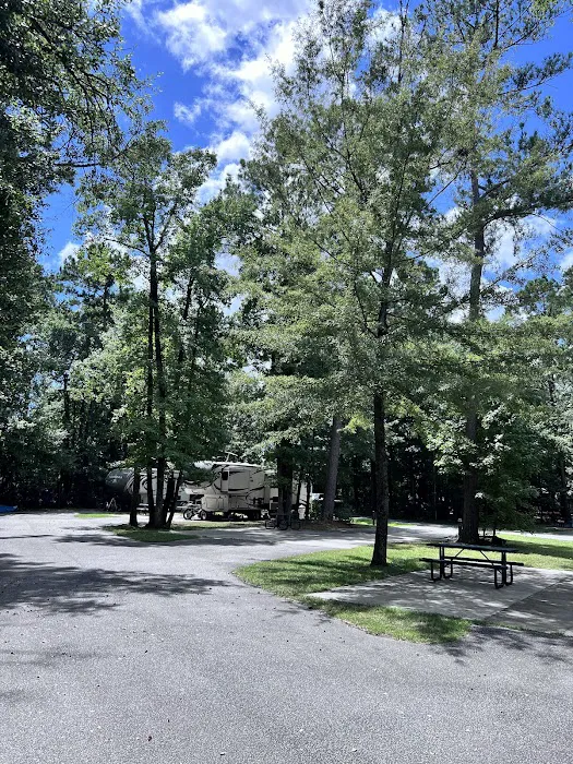 Joint Base Charleston Campsite Picture 1