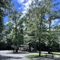 Joint Base Charleston Campsite ico