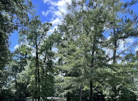 Joint Base Charleston Campsite