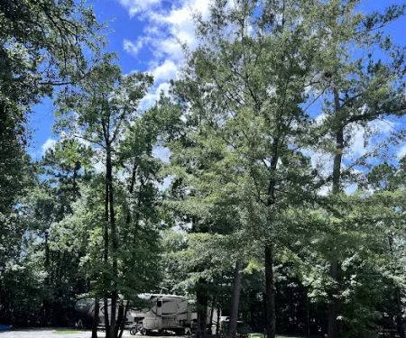 Joint Base Charleston Campsite