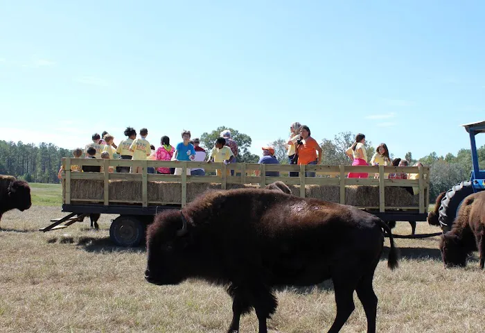 Bama Bison RV Park & Farm Picture 3