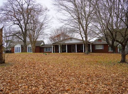 Bama Bison RV Park & Farm