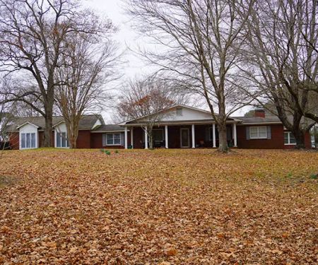 Bama Bison RV Park & Farm