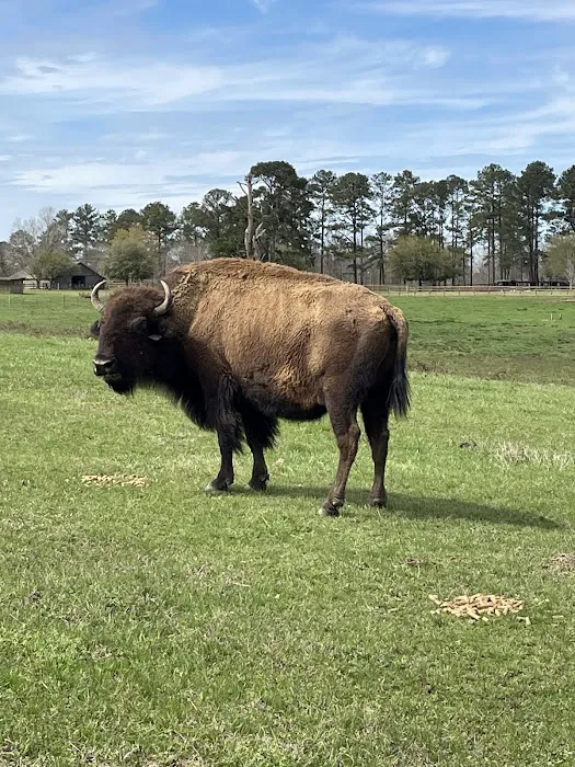Bama Bison RV Park & Farm Picture 4